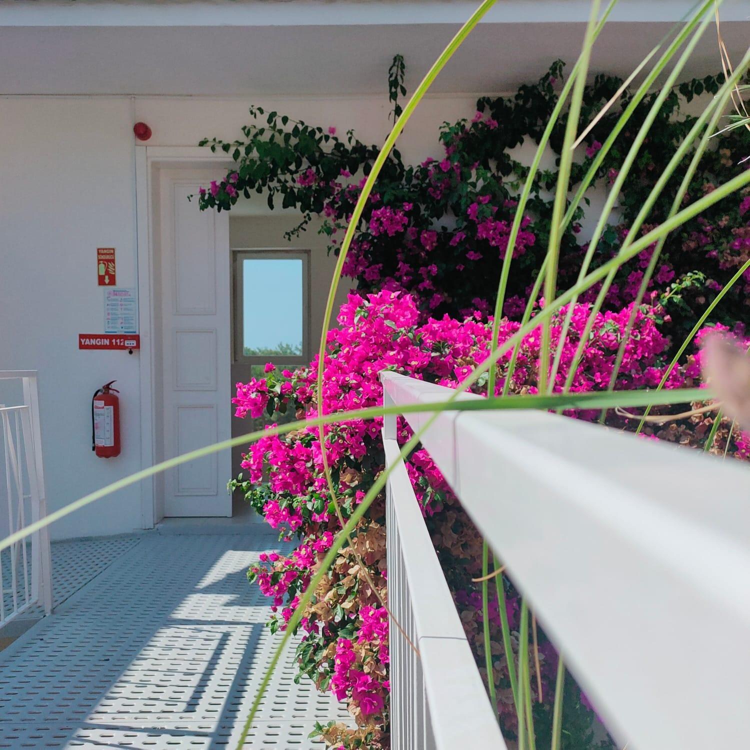 Faralya Tuz Apart Hotel Екстер'єр фото